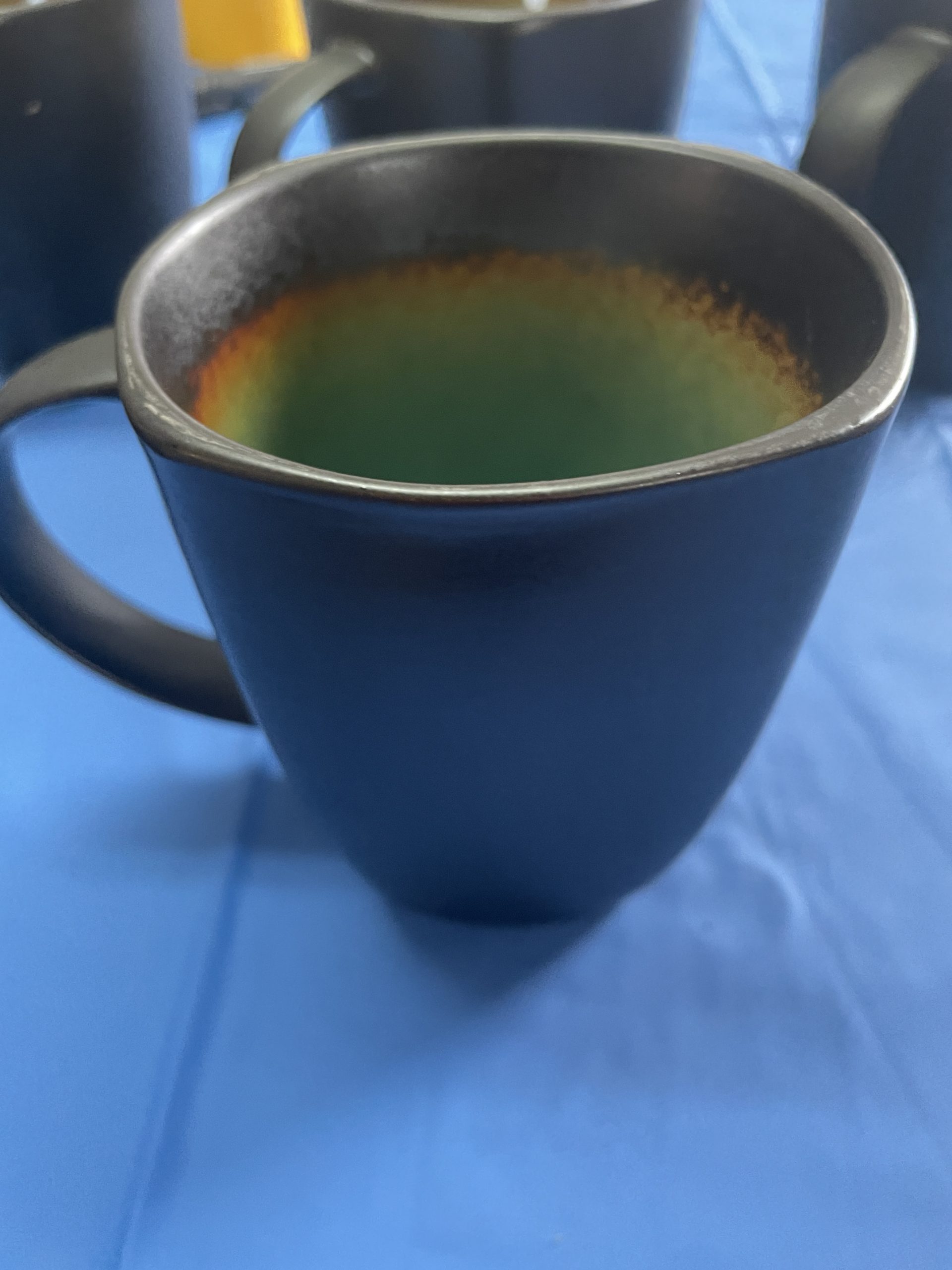 Libbey BF-14 Turquoise Interior Mug, 14 oz