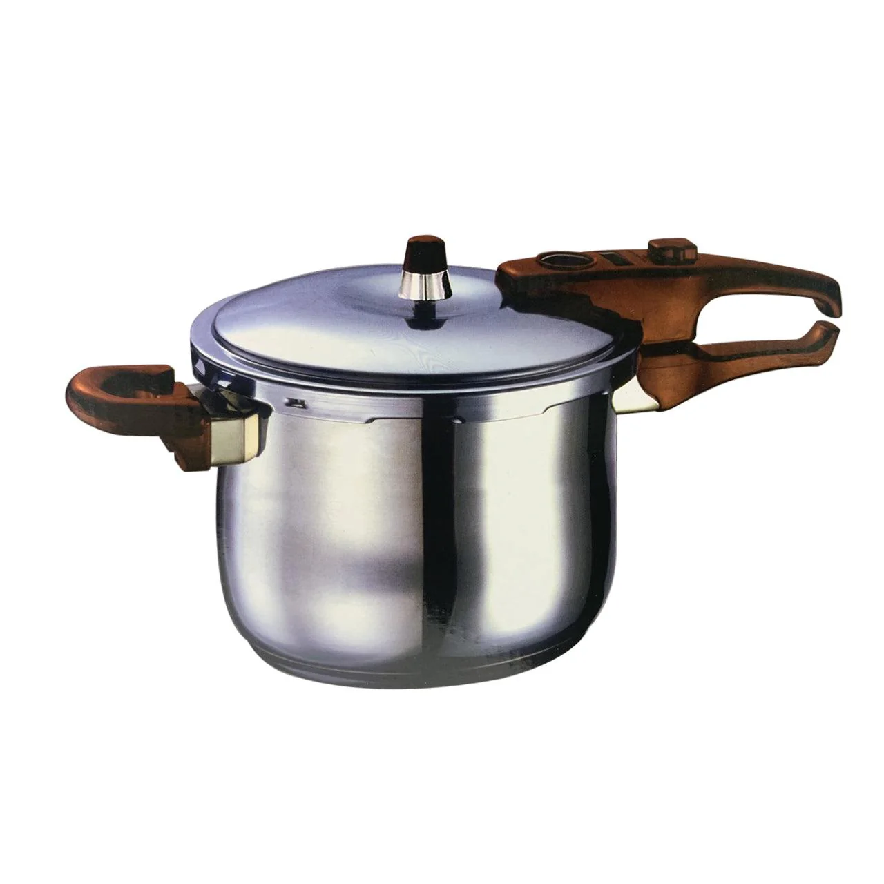 Carl Weill 9L Stainless Steel Pressure Cooker - STN900